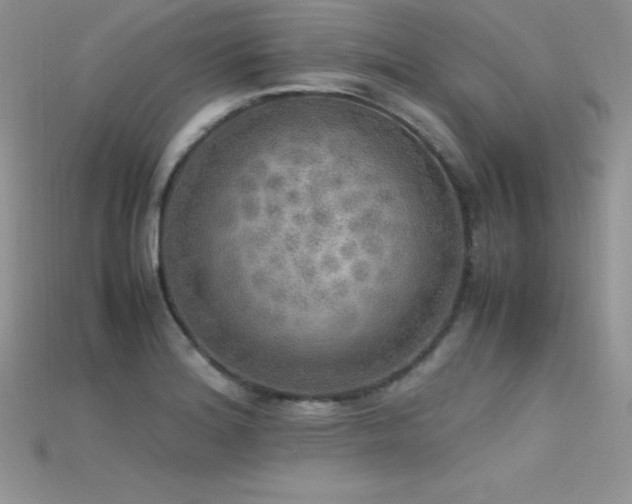 X0000115661180200911121207
