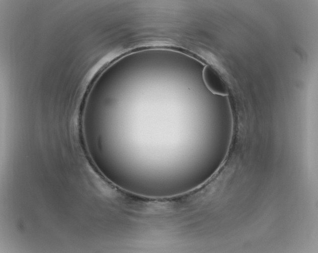 X0000115661181200911121207