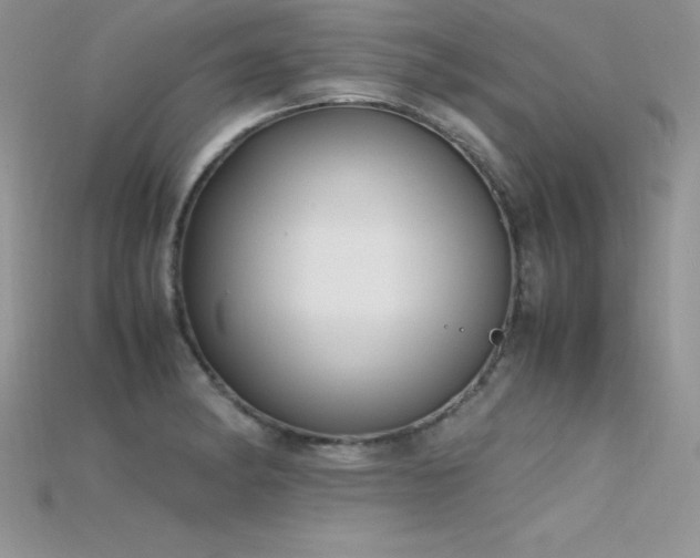X0000115661182200911121207