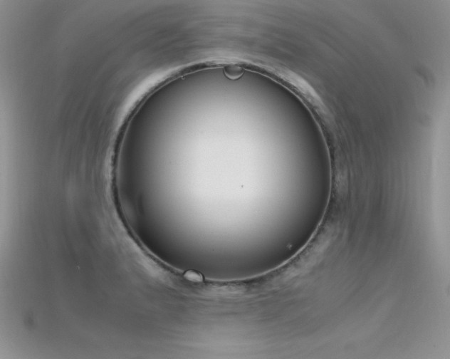 X0000115661183200911121207