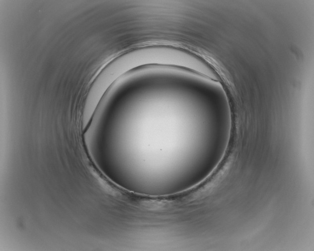 X0000115661185200911121207
