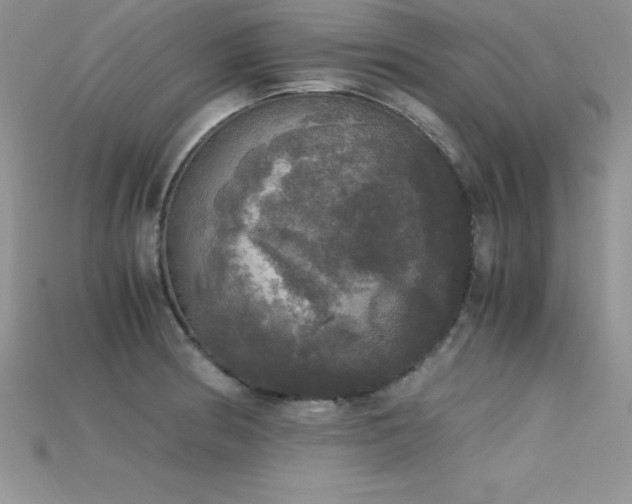 X0000115661186200911121207