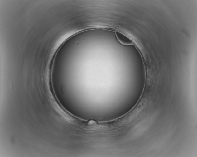 X0000115661187200911121207