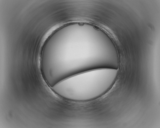 X0000115661188200911121207