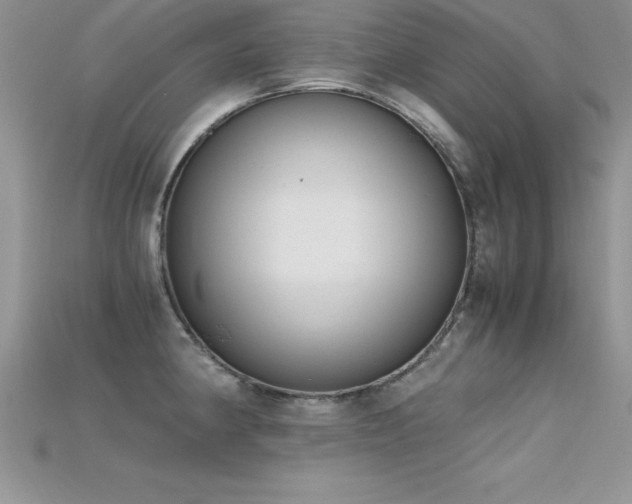 X0000115661190200911121207