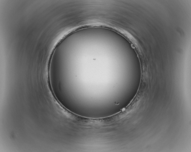 X0000115661191200911121207