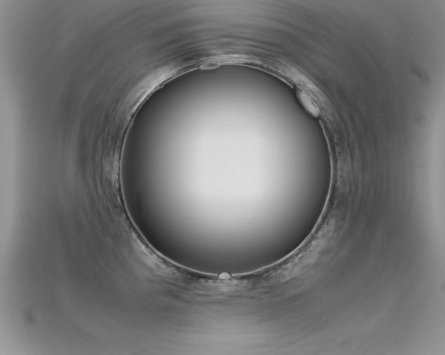 X0000115661193200911121207