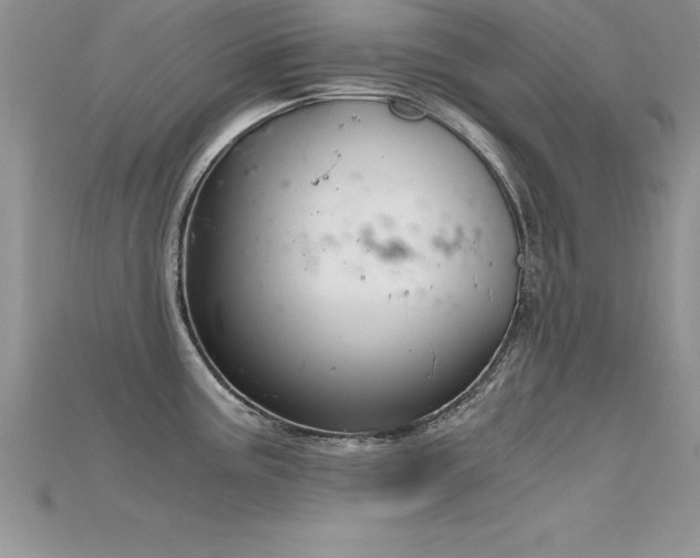 X0000115661195200911121207