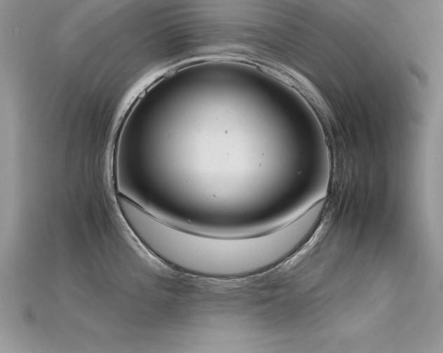 X0000115661196200911121207