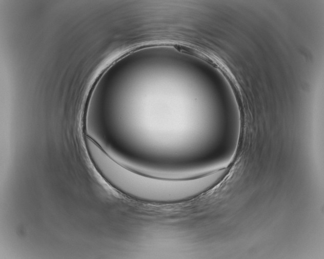 X0000115661197200911121207