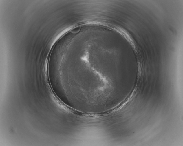 X0000115661198200911121207