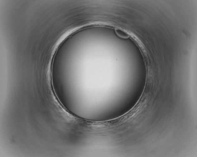 X0000115661199200911121207
