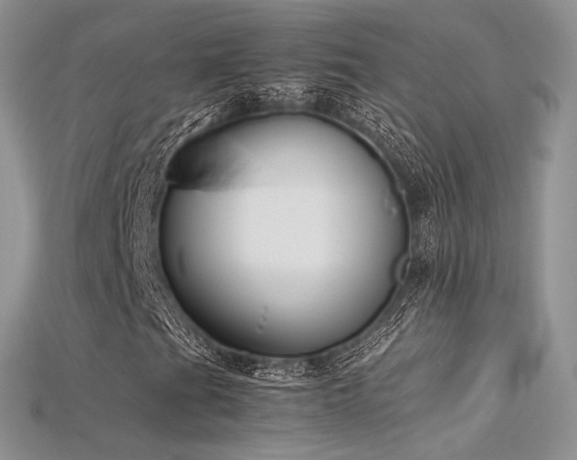 X0000115661201200911121206