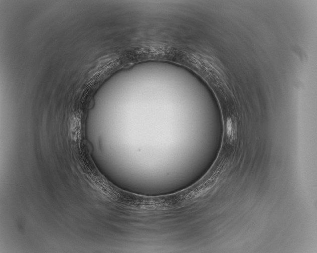 X0000115661203200911121206