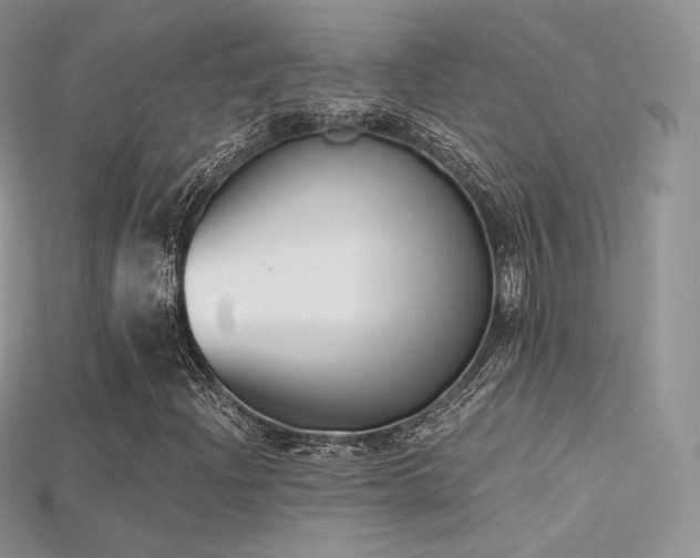 X0000115661204200911121206
