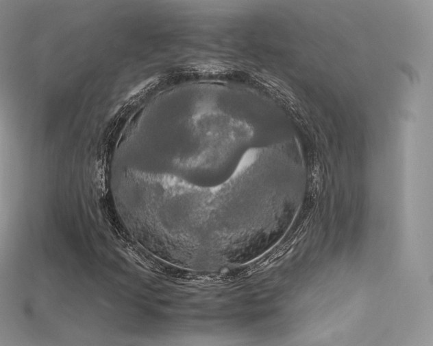 X0000115661205200911121206