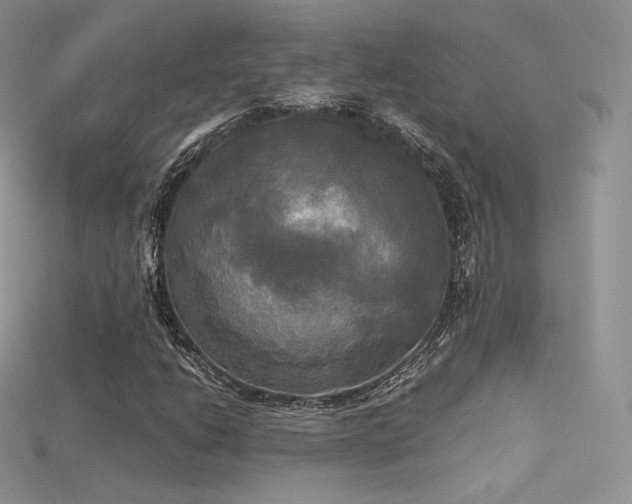 X0000115661206200911121206