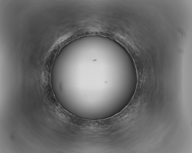 X0000115661207200911121207