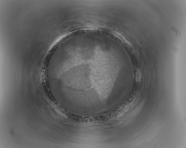 X0000115661208200911121207