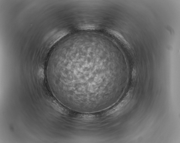 X0000115661209200911121207