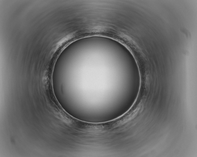 X0000115661210200911121207