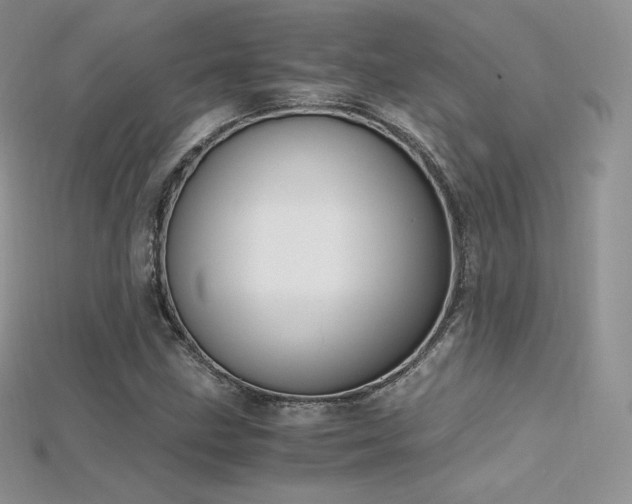 X0000115661211200911121207