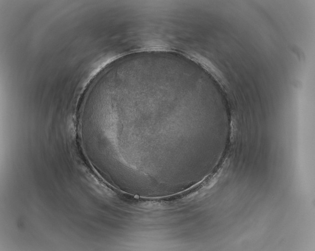 X0000115661212200911121207