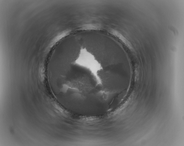 X0000115661213200911121207