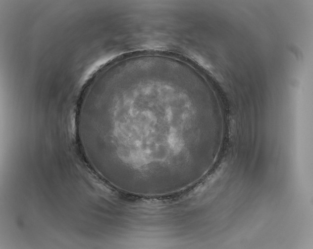 X0000115661214200911121207