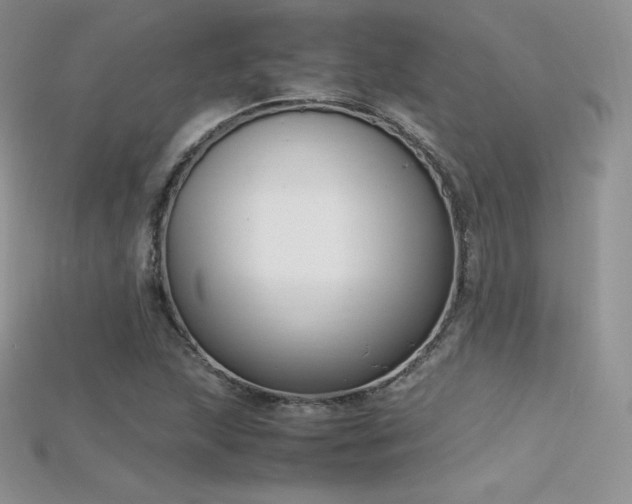 X0000115661215200911121207