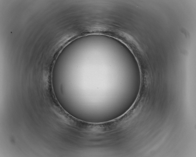 X0000115661217200911121207