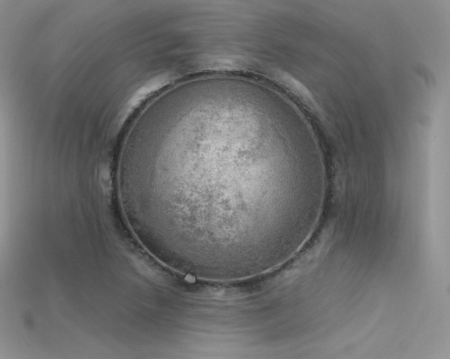 X0000115661218200911121207