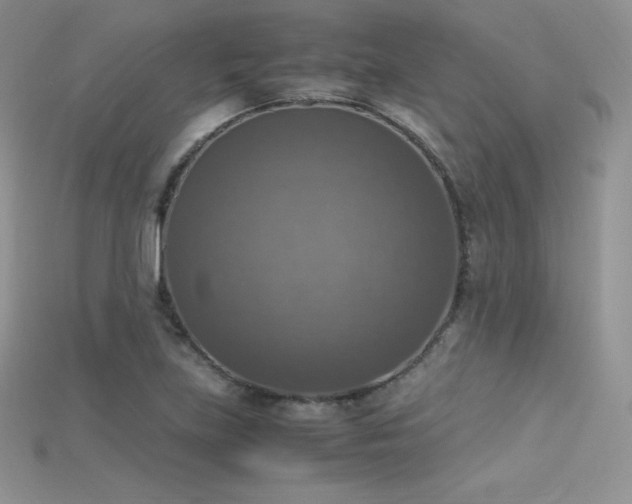 X0000115661219200911121207