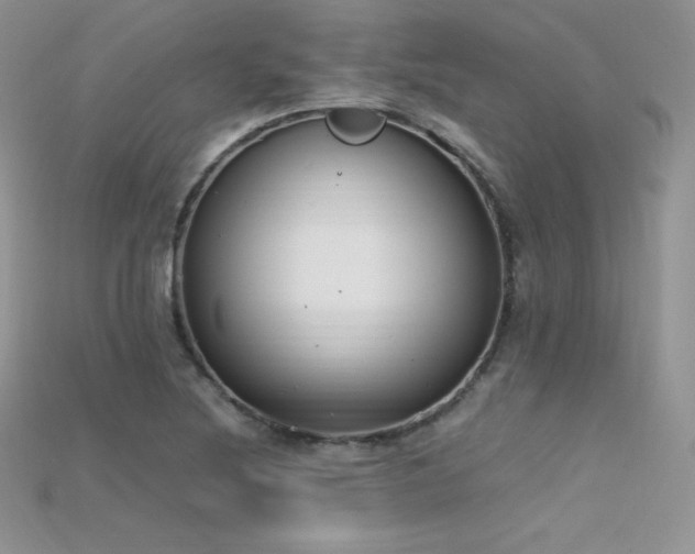X0000115661220200911121207