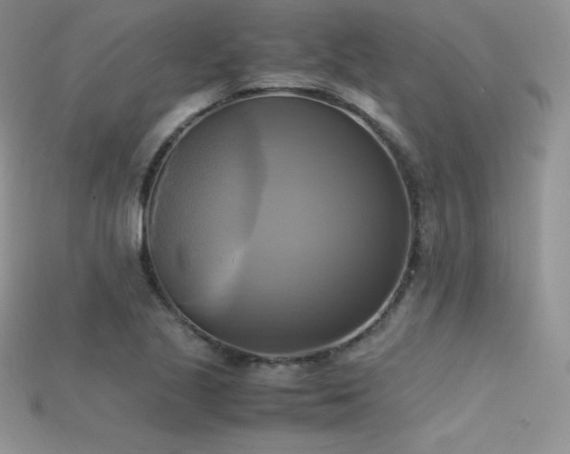 X0000115661221200911121207