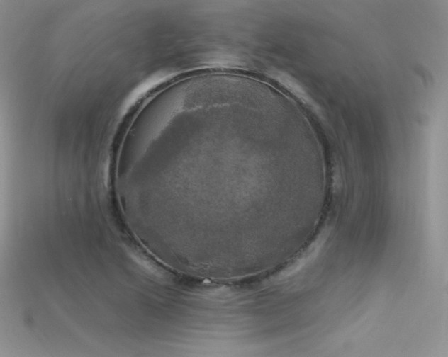 X0000115661222200911121207