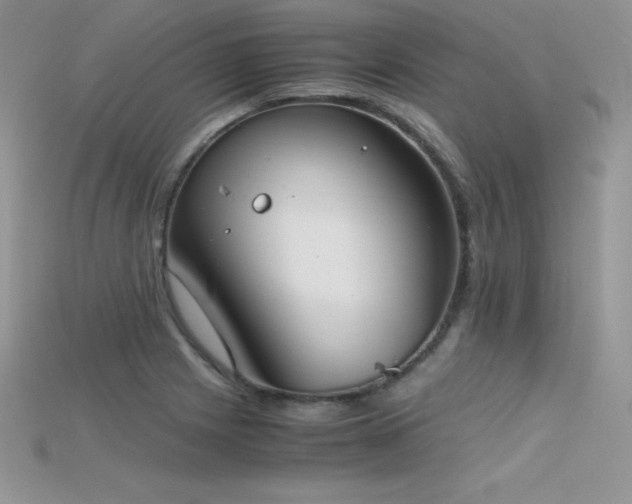 X0000115661225200911121207