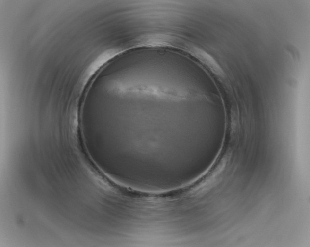 X0000115661226200911121207