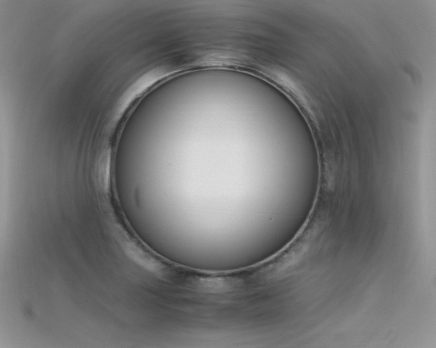 X0000115661227200911121207