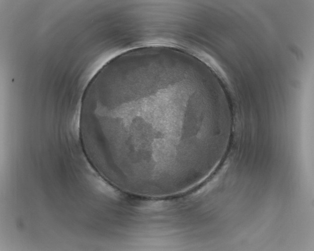 X0000115661228200911121207