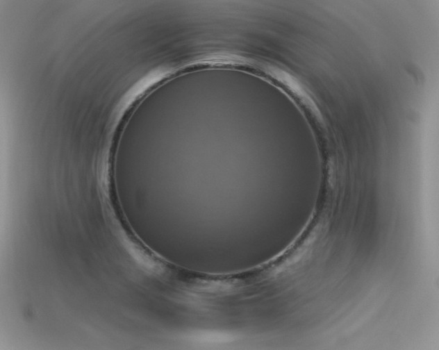 X0000115661229200911121207