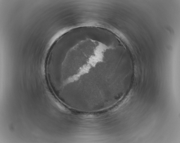 X0000115661230200911121207