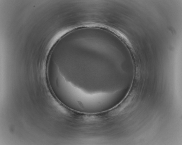 X0000115661231200911121207