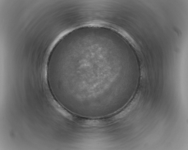 X0000115661232200911121207