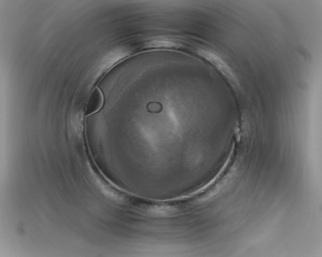 X0000115661233200911121207