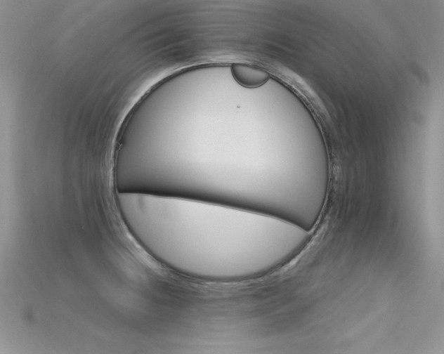 X0000115661236200911121207