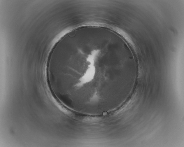 X0000115661237200911121207
