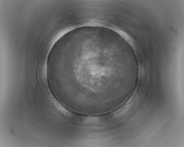 X0000115661238200911121207