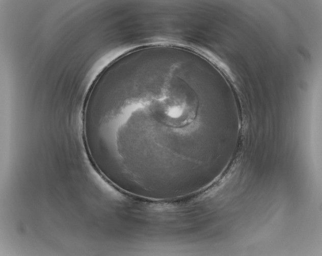 X0000115661239200911121207