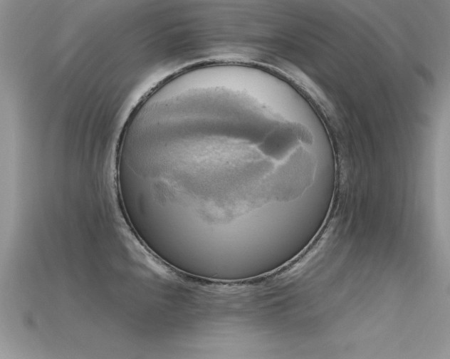 X0000115661240200911121207